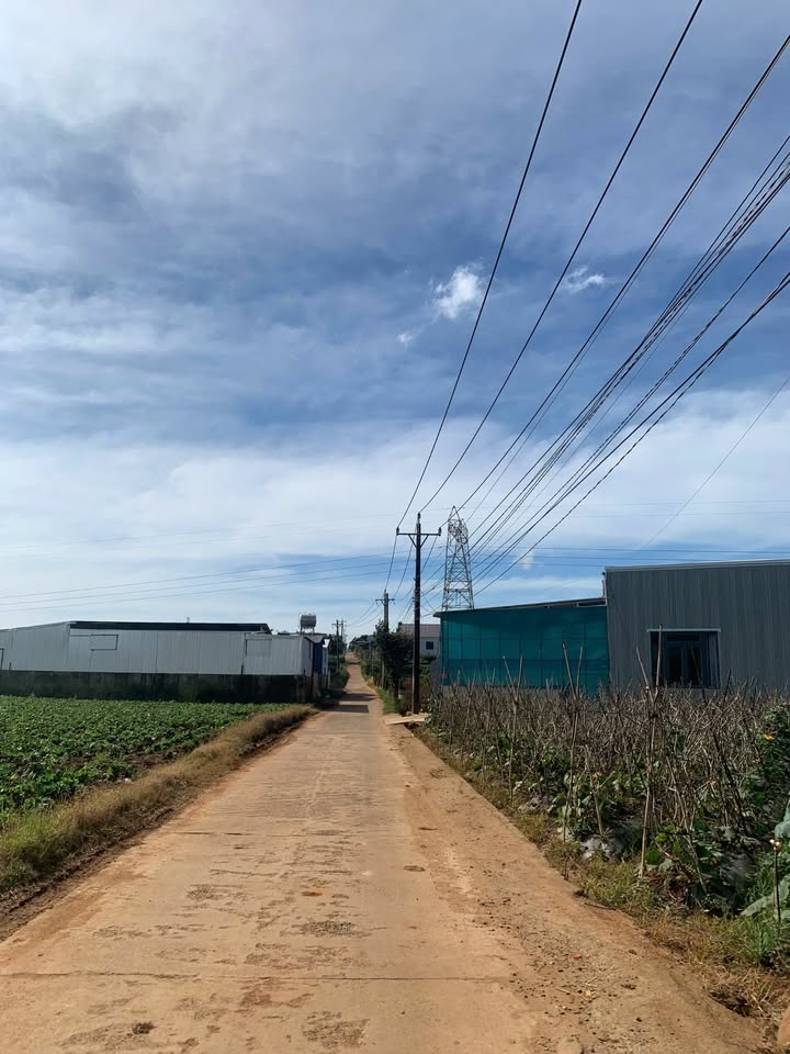 Lô đất Đạ Ròn 304m² giá 2.24 tỷ - Đầu tư sinh lời hấp dẫn!