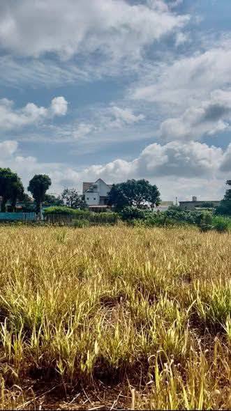 Đất nền thổ cư Bồng Lai, Đức Trọng 150m² giá 1 tỷ - Cơ hội đầu tư hấp dẫn!