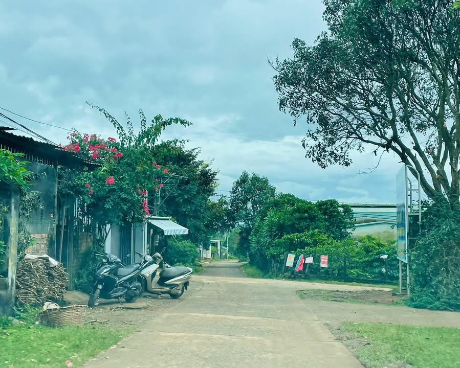 Đất nền Nguyễn Bá Lại, An Phú, 145m² chỉ 300 triệu - Đầu tư sinh lời ngay!