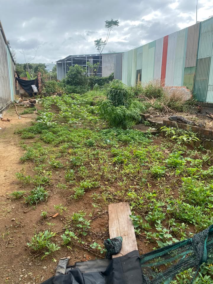 Đất thổ cư Lê Duẩn 180m² giá 800 triệu - Sổ đỏ chính chủ, thương lượng ngay!