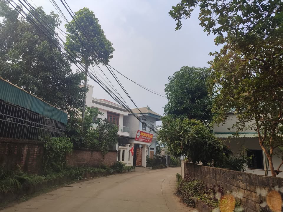 Lô đất Dân Chủ Hòa Bình 65m² giá 1 tỷ - Mặt tiền 5.35m, vị trí đẹp!