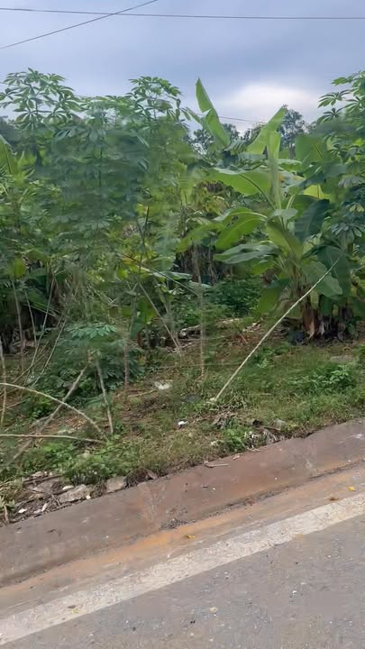 Đất nền chính chủ đường Nguyễn Trãi, Xuân Tăng 125m² - Giá chỉ 1.269 tỷ!