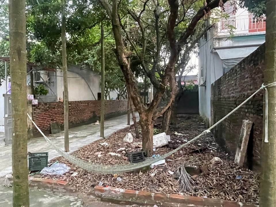 Đất nền thổ cư An Khánh 81m² giá thỏa thuận - Sổ hồng chính chủ sẵn sàng giao dịch!