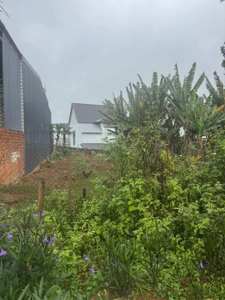 Nhà phố mặt tiền đường Tô Hiến Thành Đắk Mil 144m² giá 1.5 tỷ - Đầu tư sinh lời ngay!