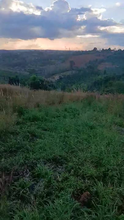 Đất nền 8000m² xã Nâm N'Jang giá 1.35 tỷ - Cơ hội đầu tư tuyệt vời!