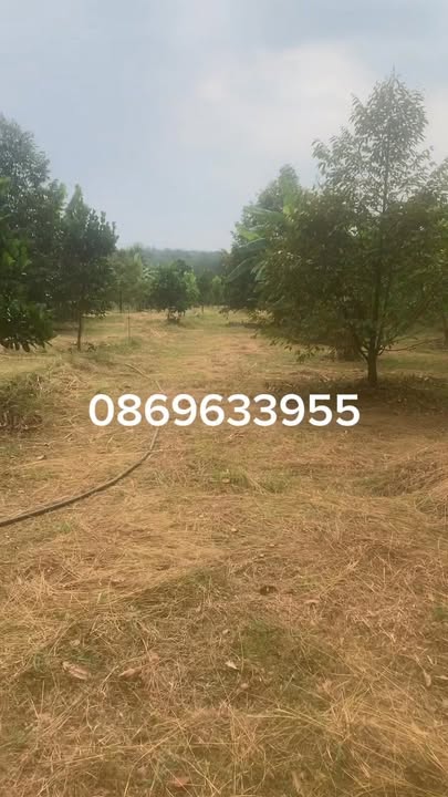 Đất thổ cư Tiến Thành 20.000m² giá thỏa thuận - Mặt tiền 20m đẹp