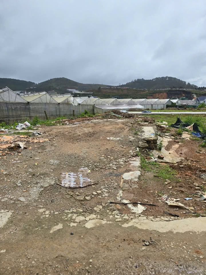 Lô đất 2 mặt tiền tại thị trấn Lạc Dương, Đà Lạt 100m² giá 2.35 tỷ - Đầu tư lý tưởng!