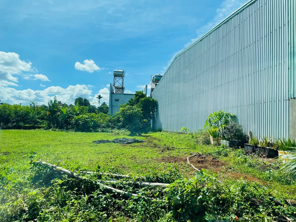 Đất nền hẻm 735 Lê Duẩn, An Phú, 135m² - Giá chỉ 595 triệu