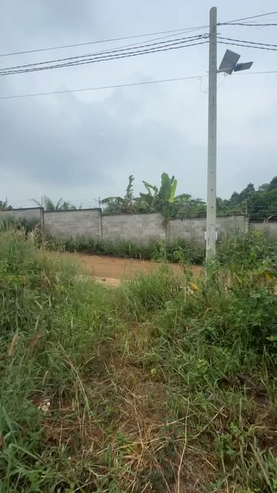 Đất mặt tiền 500m² tại xã Đông Hòa, Trảng Bom giá 990 triệu - Cơ hội đầu tư tuyệt vời!