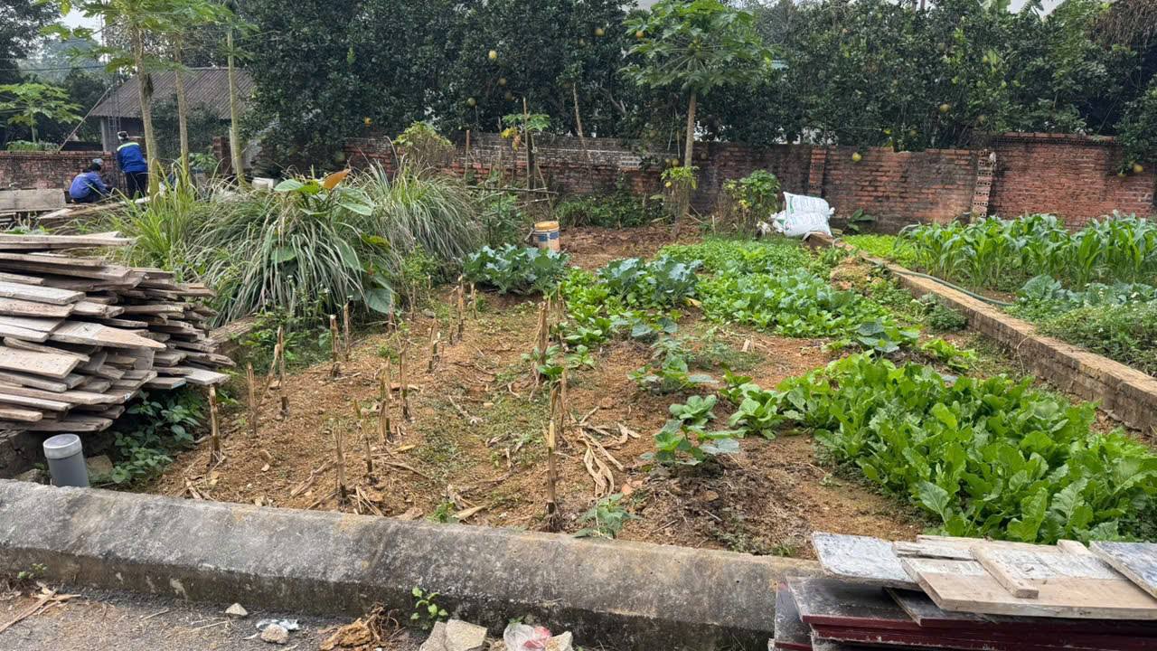 Đất thổ cư thôn 5 xã Hạ Bằng 61m² chỉ 2 tỷ - Cơ hội đầu tư hấp dẫn!