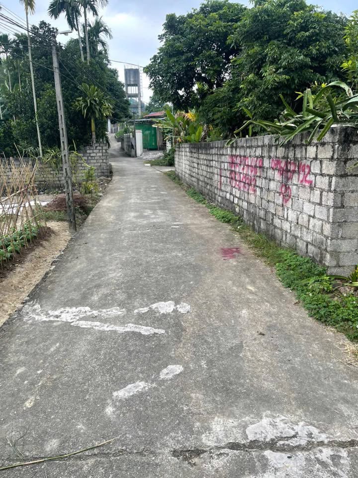 Đất nền Hóa Thượng 300m² giá 1.25 tỷ - Vị trí trung tâm, phát triển mạnh!