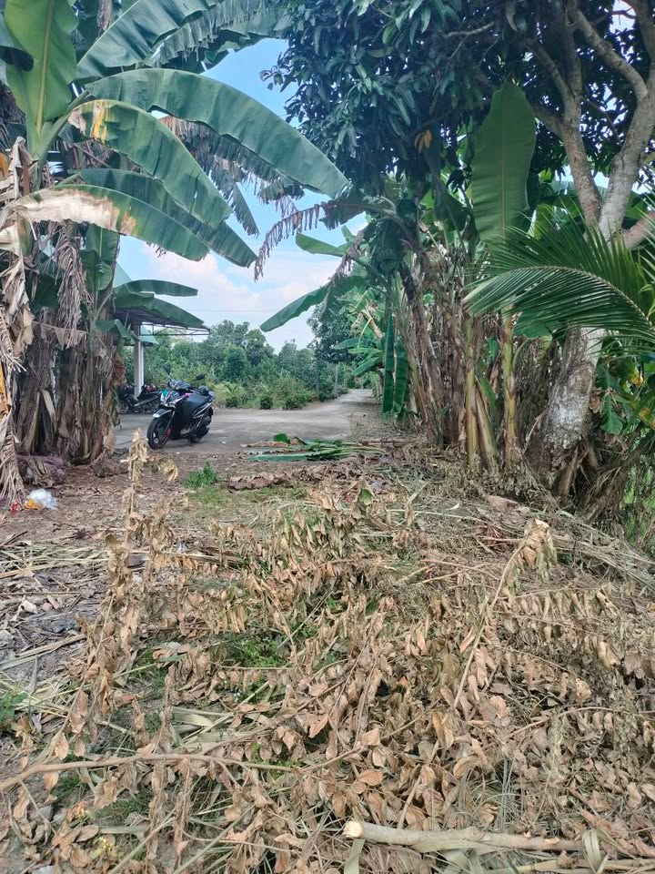 Đất ruộng 20 công xã Thanh Mỹ giá 7.2 tỷ - Có tách lẻ bán 10 công theo yêu cầu!