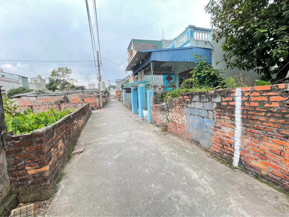 Đất nền Vũ Phúc Thái Bình 89.5m² giá chỉ 2x triệu - Sổ đỏ chính chủ!