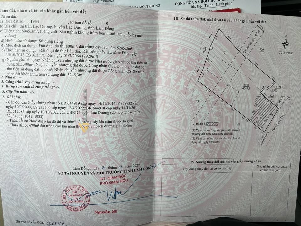 Đất mặt tiền Tây Sơn, Lạc Dương 6045m² giá 72.5 tỷ - Đầu tư sinh lời ngay!