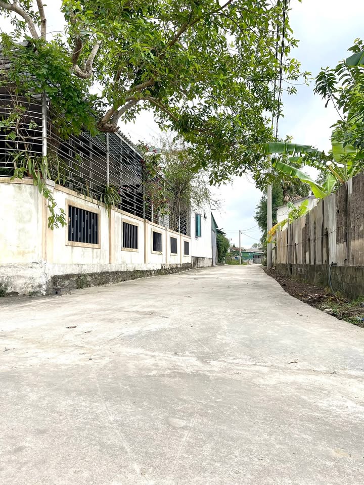 Đất nền dự án Shophouse Bình Tiến, Hà Huy Tập 160m² giá 1.7 tỷ - Cơ hội đầu tư tuyệt vời!