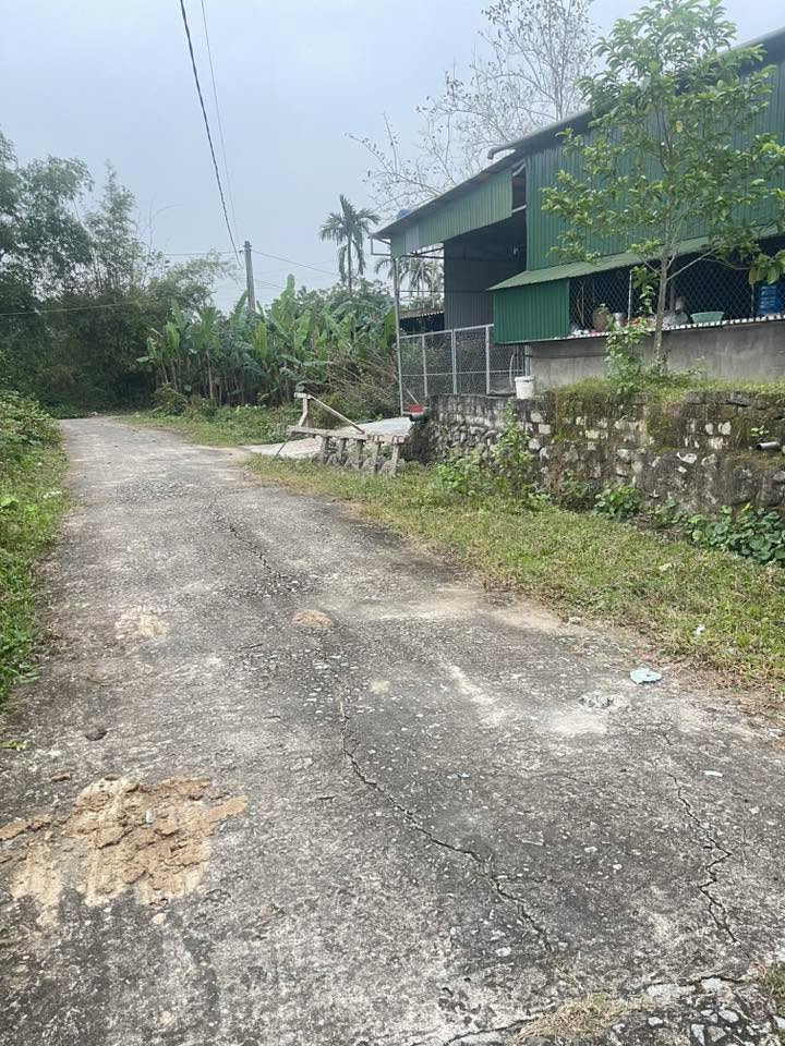 Đất nền thôn Quyết Tiến, Thạch Xuân 162m² giá 650 triệu - Đường thông thoáng, đầu tư sinh lời!