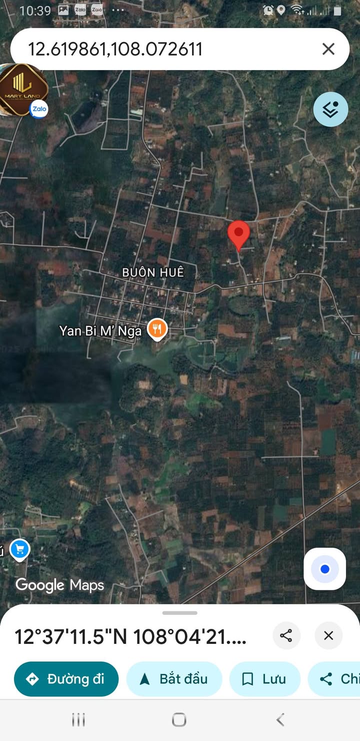 Đất thổ cư xã Ea Tiêu 120m² giá 550 triệu - Tiềm năng sinh lời cao!