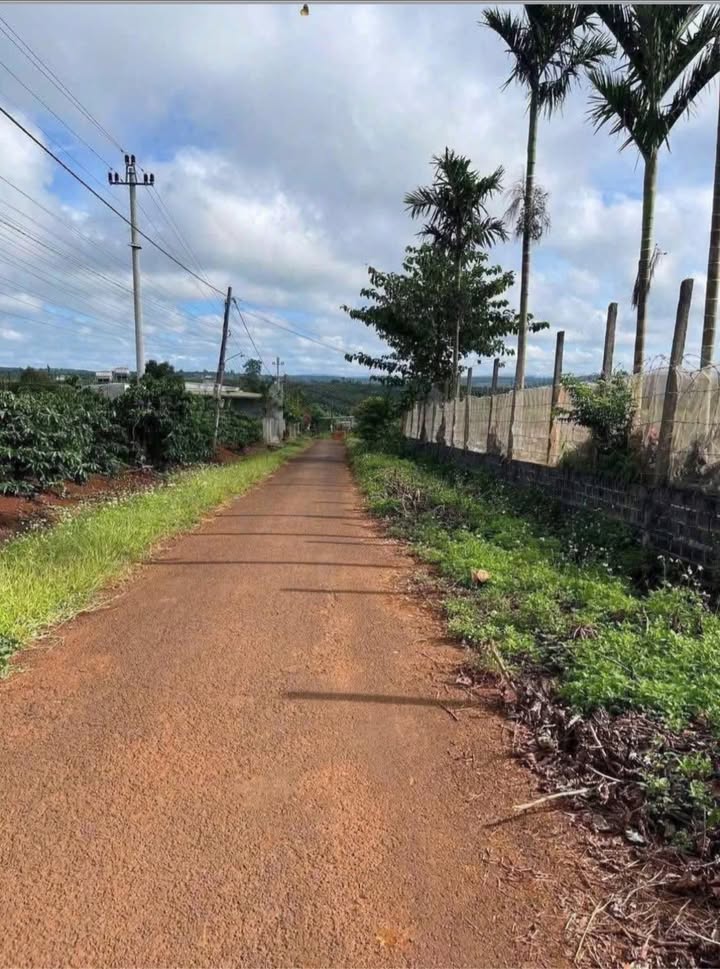 Đất thổ cư Phú Xuân Krông Năng 990m² giá 9.57 tỷ - Mặt tiền đường nhựa, cơ hội đầu tư sinh lời!