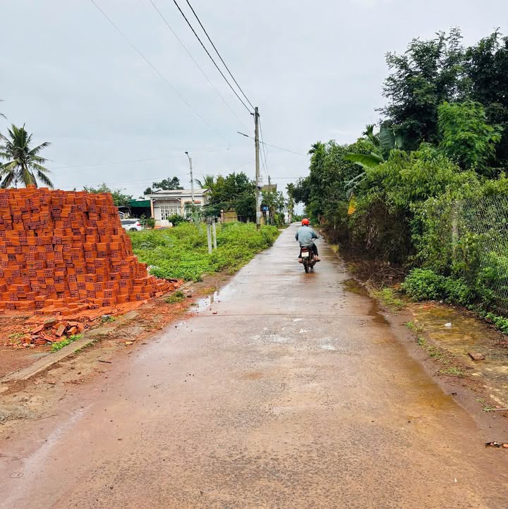 Lô Đất 100m² Đường D2, Tân An - Giá Chỉ 1.399 Tỷ - Tiện Ích Đầy Đủ!