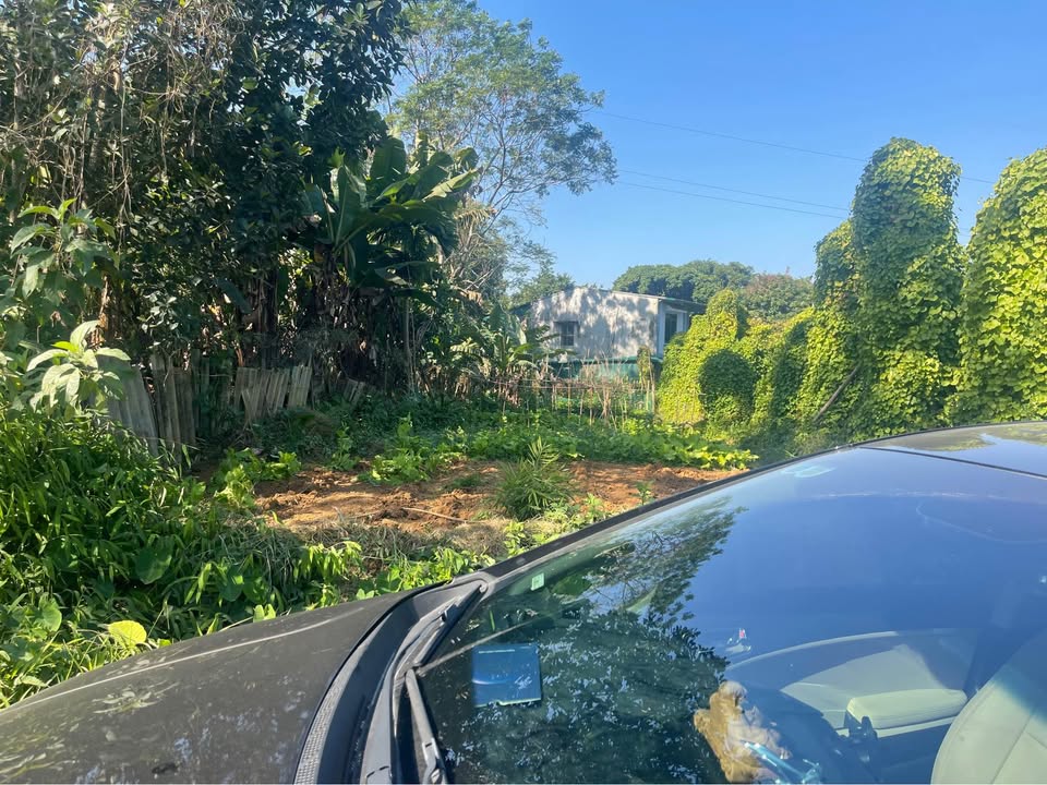 Đất nền tổ 7 Hưng Thành 280m² - Tiềm năng đầu tư lớn!