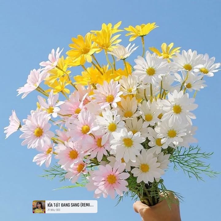 Nhà Phố Phong Đức Phổ 200m² - Sẵn sàng vào ở ngay!