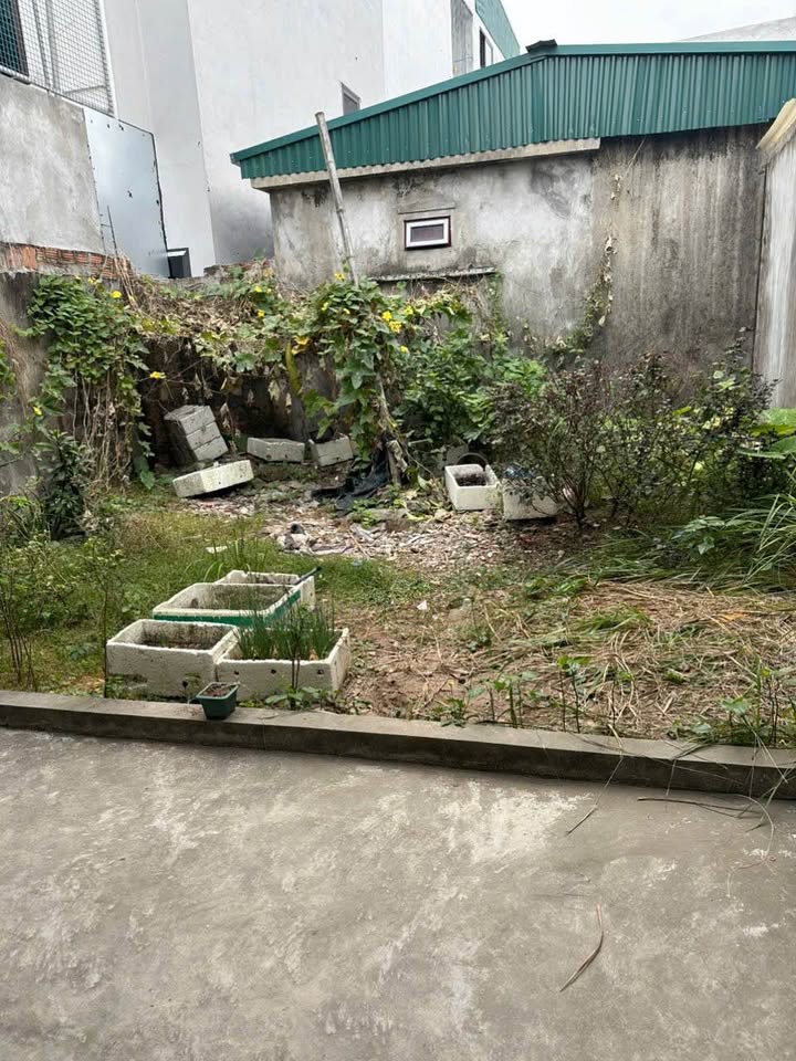 Lô đất Trần Lãm Thái Bình 47m² giá chỉ 1 tỷ - Đất vuông vắn, sổ đỏ chính chủ!