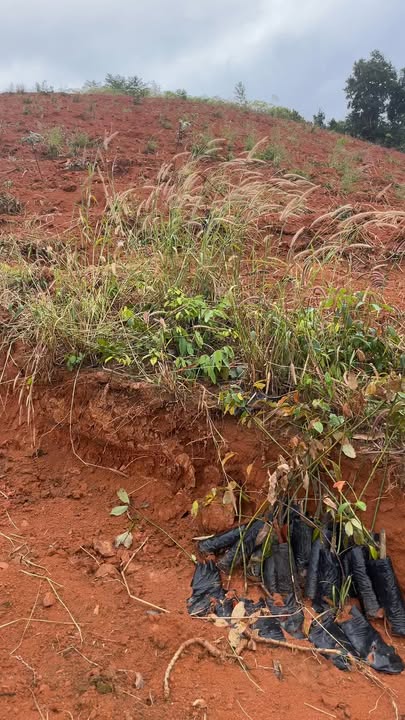 Đất nền Ya Tăng 20.000m² giá 400 triệu - Thế đất triền đẹp, đầu tư sinh lời!