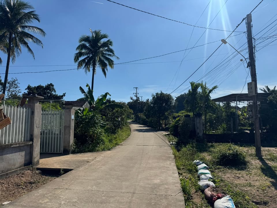 Đất nền Trần Quốc Hoàn, phường Trần Hưng Đạo, 260m² - Khu dân cư sầm uất, giá tốt!