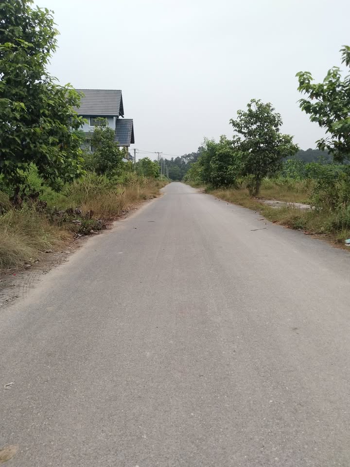 Đất nền KDC An Thuận Long An 92.5m² giá 2.69 tỷ - Đầu tư sinh lời ngay!