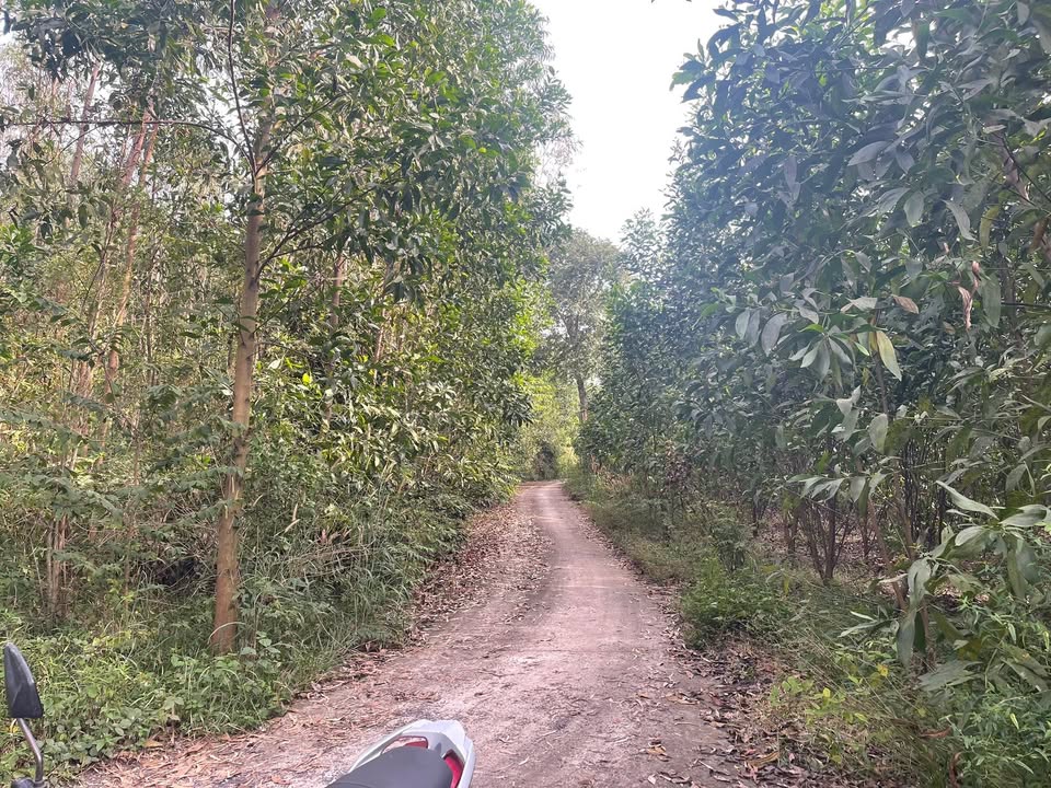 Đất vườn Phước An Nhơn Trạch 2492m² giá 4.984 tỷ - Cơ hội đầu tư hấp dẫn!