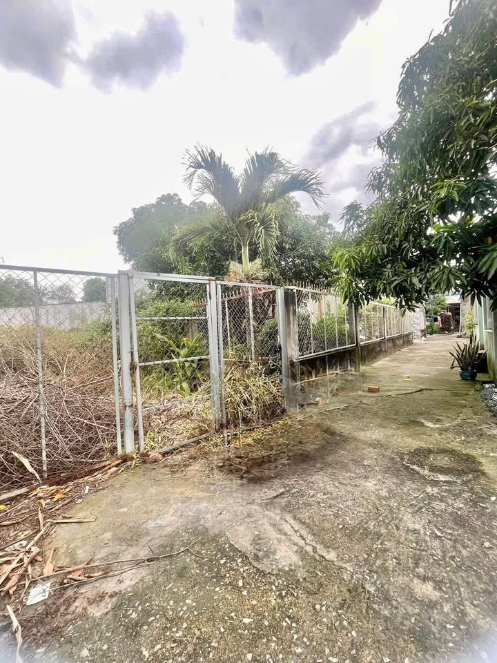 Đất thổ cư xã Phú Đông Nhơn Trạch 115m² giá 1 tỷ - Cơ hội đầu tư tốt!