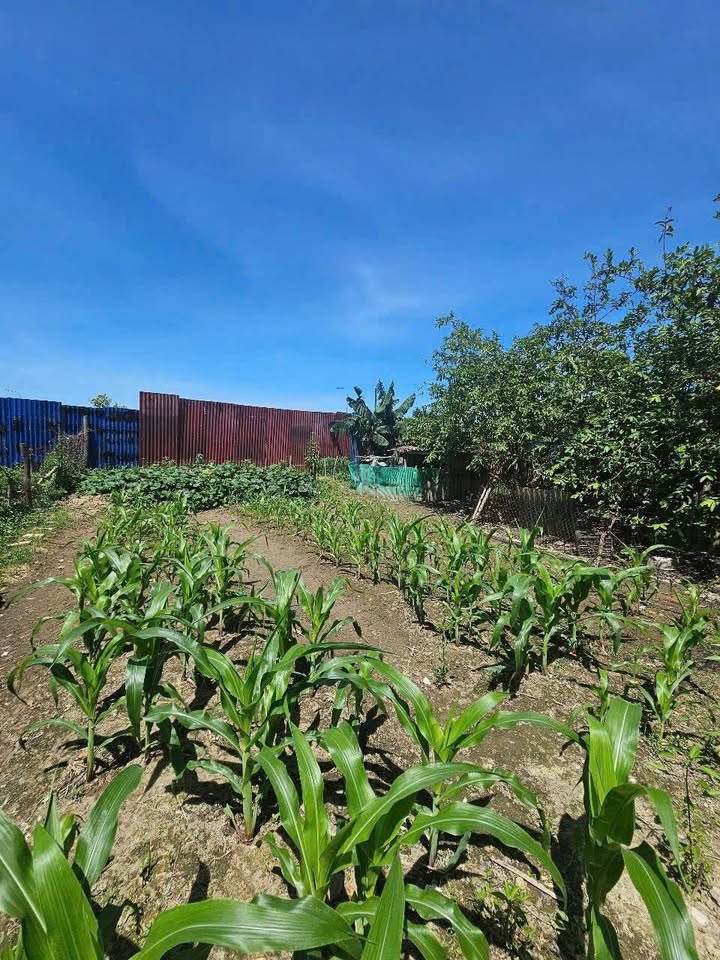 Lô đất liền kề C13 Thọ Phú 100m² giá 2.7 tỷ - Đối diện cơ quan hành chính