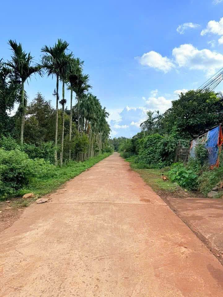 Đất thổ cư Kom Leo, Hòa Thắng 500m² giá chỉ 2.2 tỷ - Cơ hội đầu tư tuyệt vời!