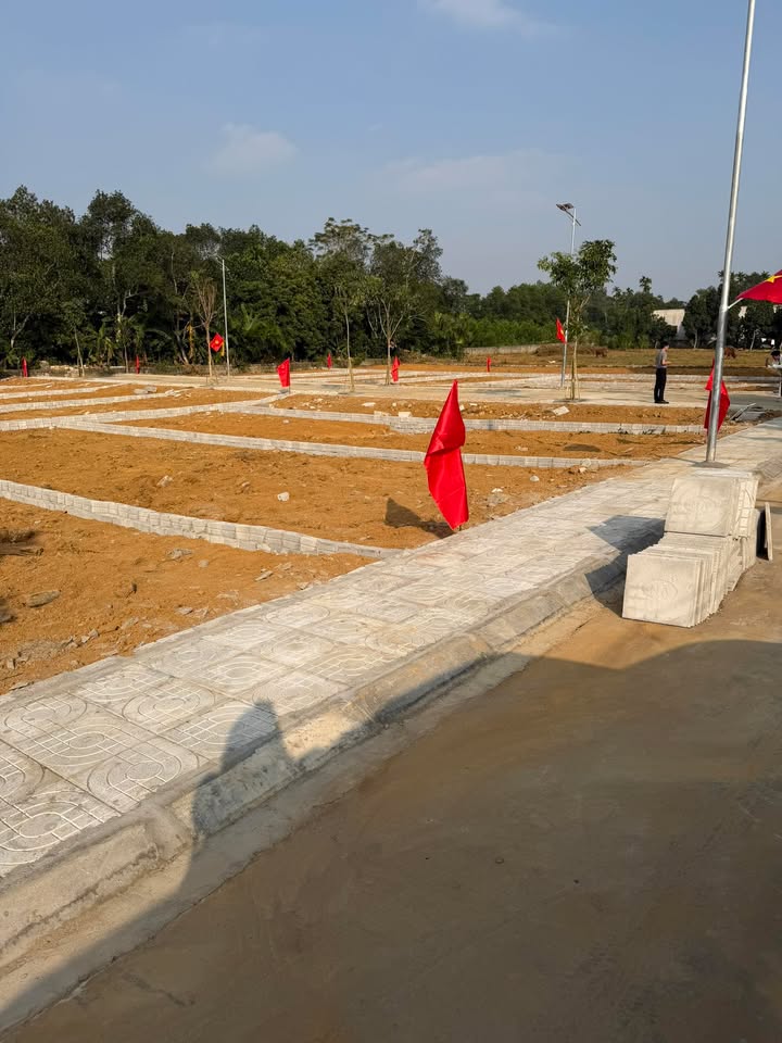 Đất nền Thọ Phú - Triệu Sơn 135m² giá chỉ 300 triệu - Cơ hội đầu tư tuyệt vời!