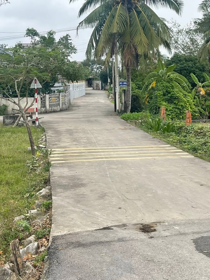 Lô đất 115.5m² tại Đông Quang, Thanh Hóa - Cơ hội đầu tư hấp dẫn!