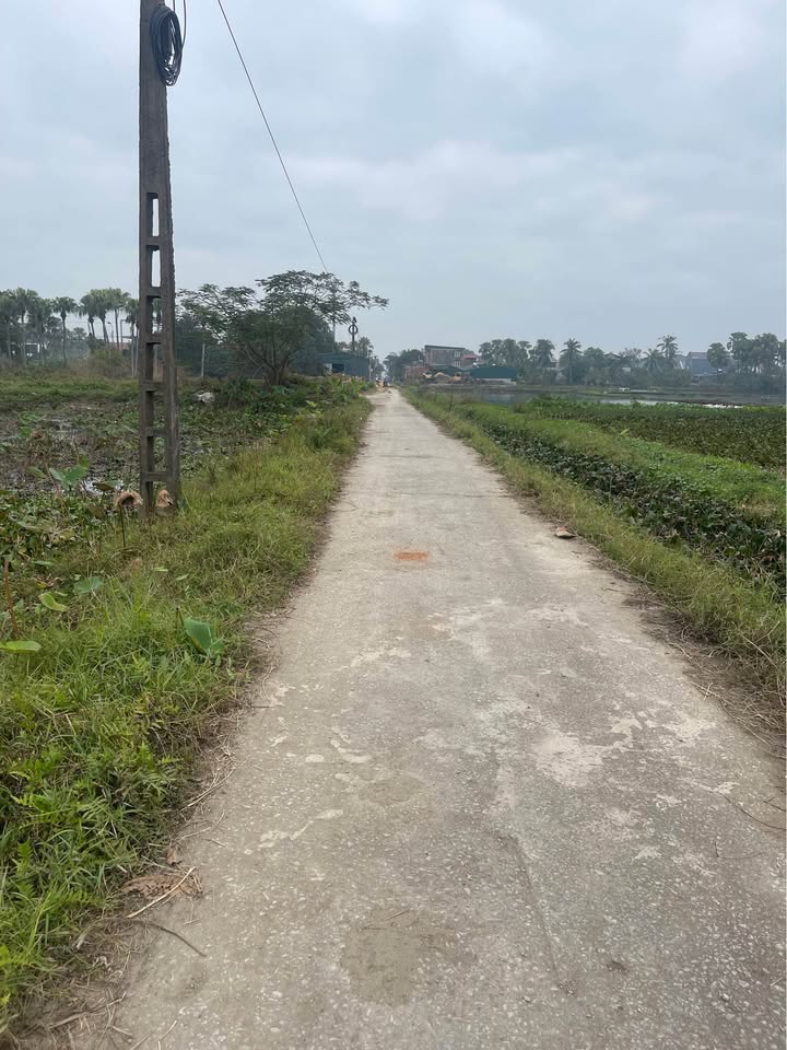 Đất mặt bằng Quảng Đông 100m² giá chỉ 1 tỷ - Cơ hội đầu tư tuyệt vời!