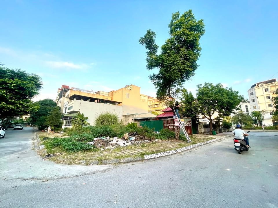 Đất nền Cao Xanh Hạ Long 142,5m² giá 8.49 tỷ - Vị trí đắc địa đối diện cơ quan chính phủ!