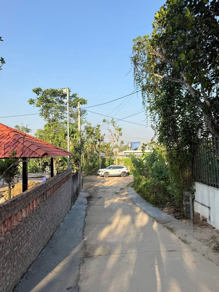 Lô đất Tích Lương 98m² giá 650 triệu - Cơ hội vàng đầu tư!