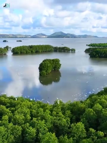 Đất nền Nhơn Hội, Quy Nhơn 150m² giá chỉ từ 13.5 triệu/m² - Vị trí đắc địa gần chợ!