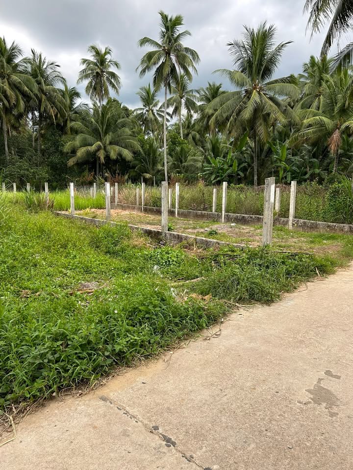 Đất ở Hòa Trung 2, Hoài Xuân, 143m² - Sổ đỏ chính chủ, giá thỏa thuận!