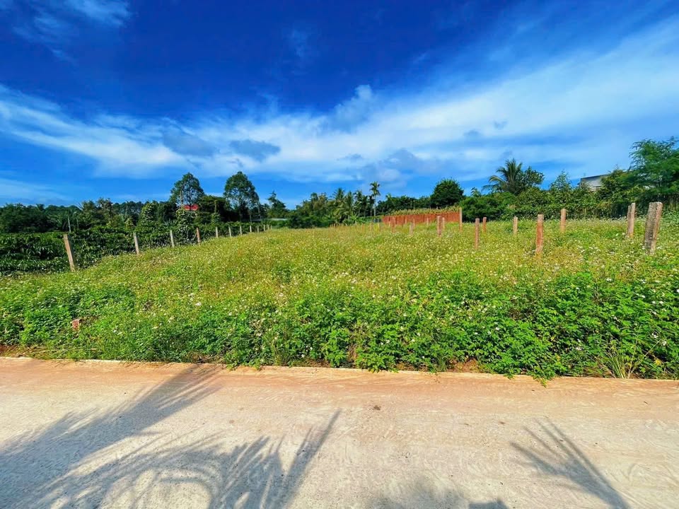 Đất nền Hòa Đông, Krông Pắc 548m² giá chỉ 200 triệu - Đầu tư sinh lời ngay!