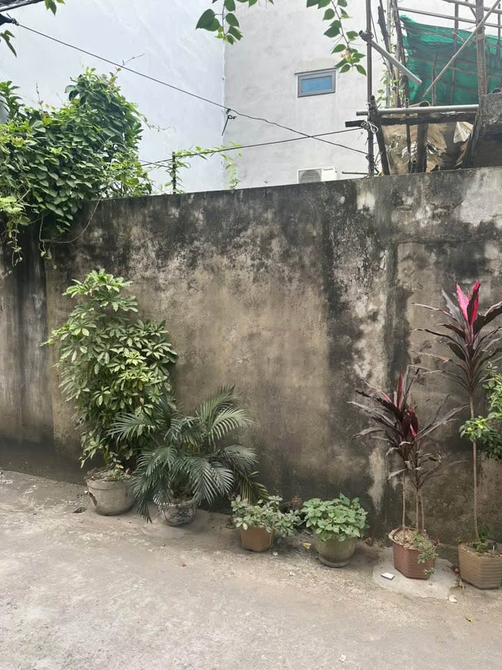 Bán lô đất đẹp phường Trần Lãm 50m² giá 2 tỷ - Sổ đỏ chính chủ!