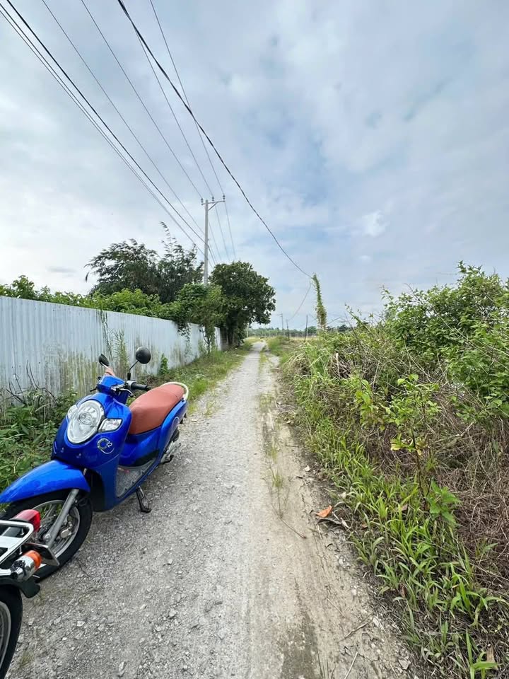 Đất mặt tiền Cao Văn Lầu, Vĩnh Hiệp 5779m² giá 1.1 tỷ - Đầu tư sinh lời ngay!