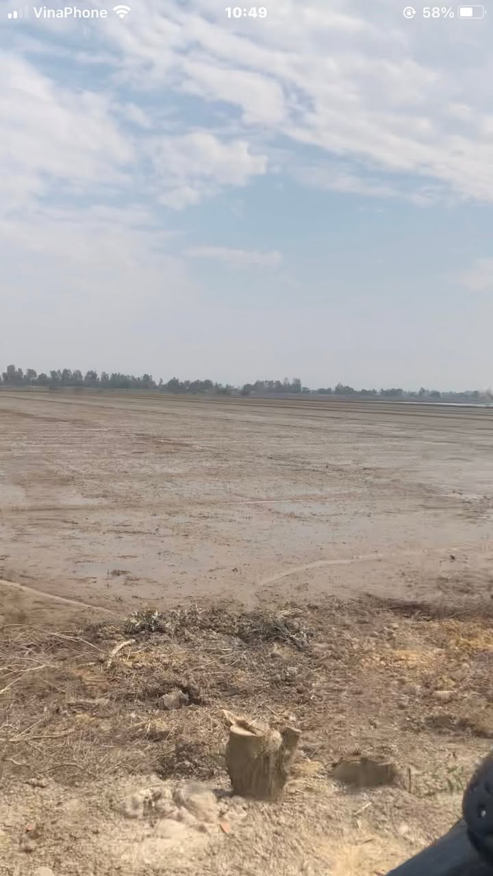 Đất nông nghiệp 22 công Mỹ Thuận An Giang giá 3.78 tỷ - Sổ hồng đầy đủ, xe tải vào tận nơi!