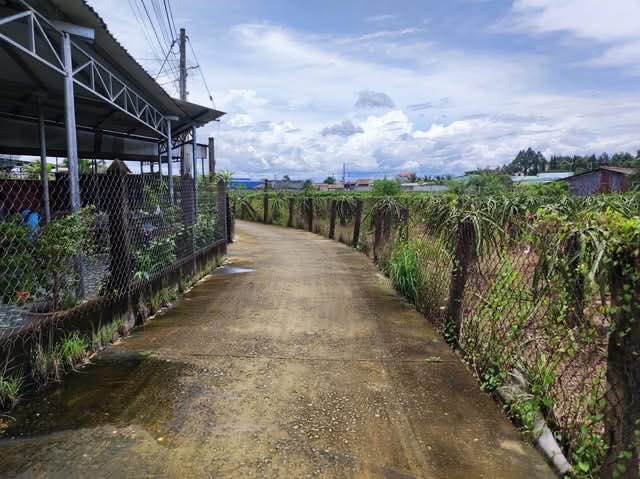 Đất Thổ Cư ODT Tại Thị Trấn Tầm Vu, Châu Thành - Giá Chỉ 489 Triệu!