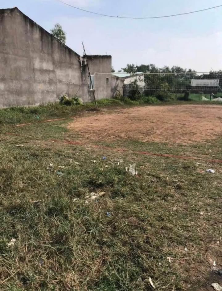 Đất Lúa ấp Bình Sơn, Châu Thành, Long An 435m² giá 770 triệu - Dân cư đông đúc, thuận tiện giao thông!