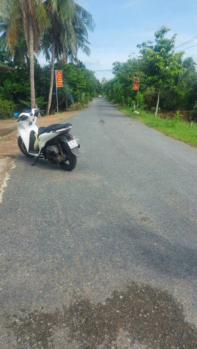 Đất vườn Nhơn Thạnh Trung, Tân An 3400m² giá 7.9 tỷ - Đầu tư sinh lời lý tưởng!