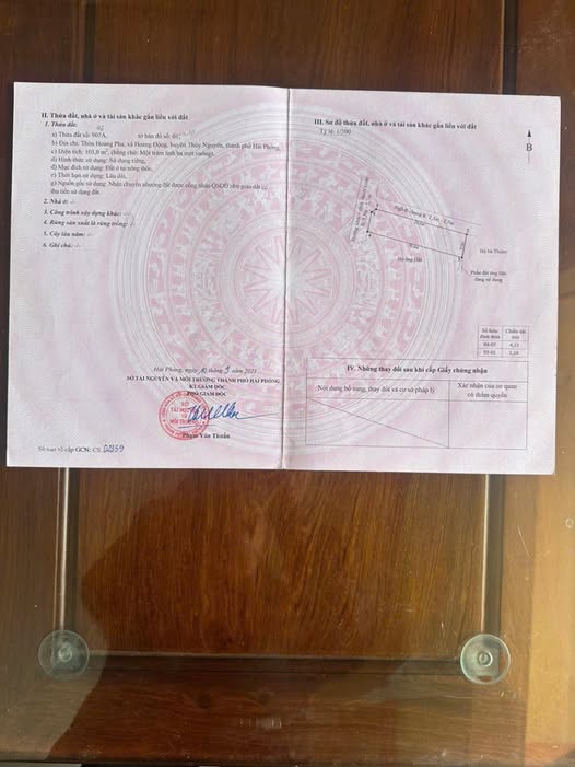 Đất nền Hoa Động Thủy Nguyên 103m² giá 2.1 tỷ - Đường thông ô tô đỗ cửa!