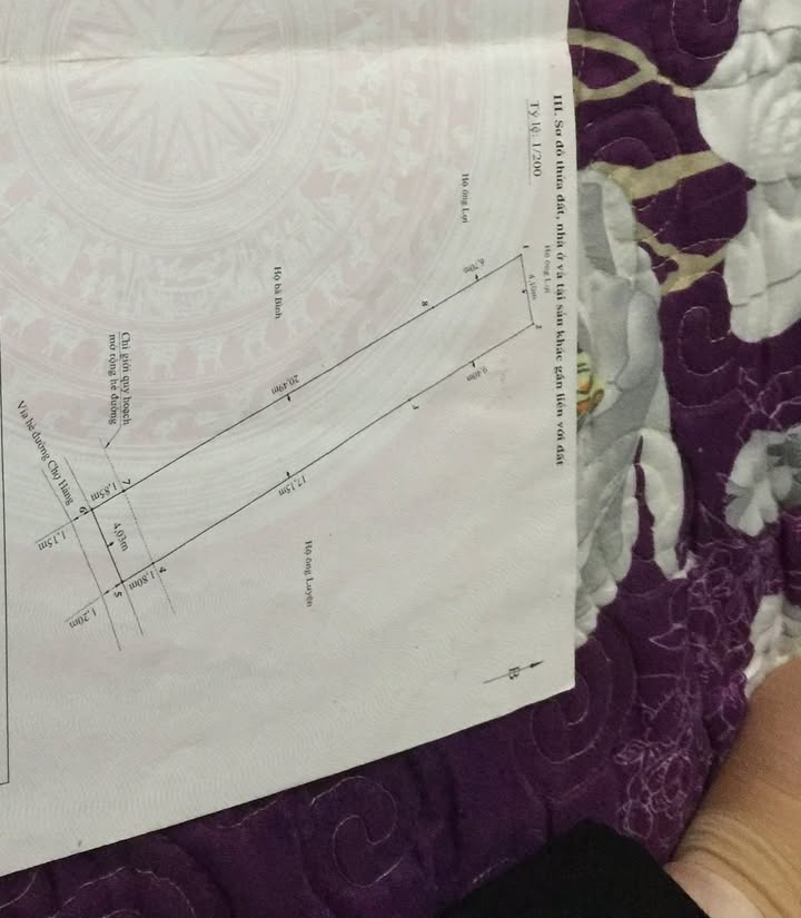Nhà 2 tầng Mặt Đường Chợ Hàng, Hải Phòng 135m² giá 15 tỷ - Đầu tư sinh lời ngay!