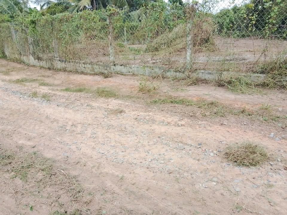 Đất thổ cư 130m² tại Phường Long Hoa chỉ 200 triệu - Cơ hội vàng không thể bỏ qua!